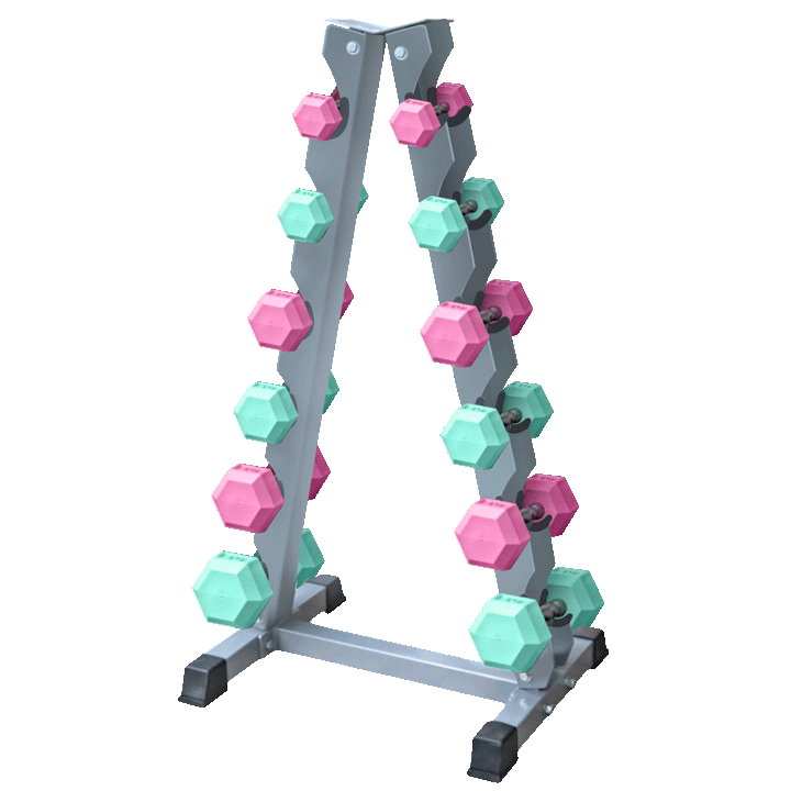 WanderBar Hex Dumbbell Set Pink and Mint Edition Complete Colorful