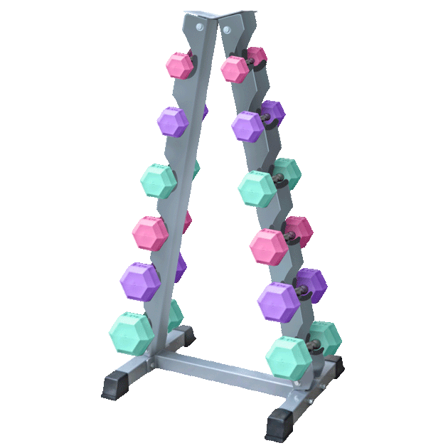 Home gym organizer Wandergym